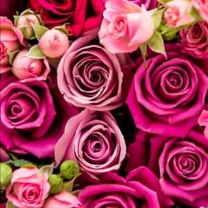 Meet your Posher, Collette